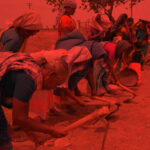 Brazen attack on the livelihood of rural people​
