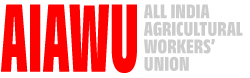Main Logo